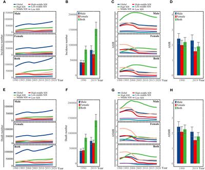 Burden of liver cancer due to hepatitis C from 1990 to 2019 at the global, regional, and national levels